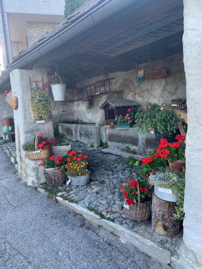 Casa Iolanda Appartement Bognanco Buitenkant foto